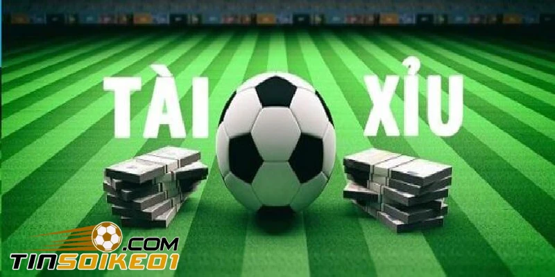 Cẩn thận, tìm hiểu kỹ trước khi đặt cược bóng đá điện tử.