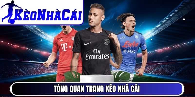 Khai phá bí mật tỷ lệ cược Châu Á trong cá cược thể thao trực tuyến.